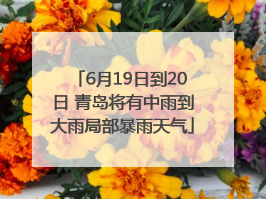 6月19日到20日 青岛将有中雨到大雨局部暴雨天气