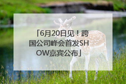 6月20日见！跨国公司峰会首发SHOW嘉宾公布