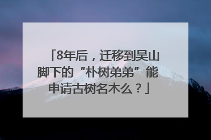 8年后，迁移到吴山脚下的“朴树弟弟”能申请古树名木么？