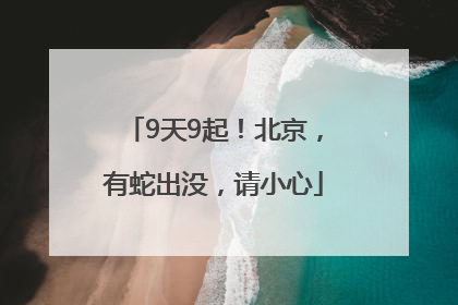9天9起！北京，有蛇出没，请小心