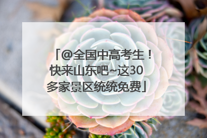 @全国中高考生！快来山东吧~这30多家景区统统免费