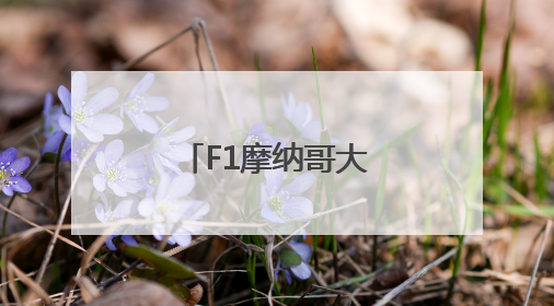 F1摩纳哥大奖赛正赛赛况
