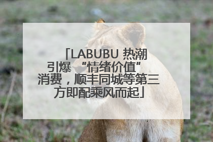LABUBU 热潮引爆 “情绪价值” 消费，顺丰同城等第三方即配乘风而起